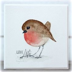 a watercolor painting of a bird with the words love life on it's side