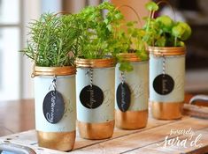 three mason jars with plants in them sitting on a table