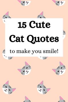 a pink background with cats and the words 15 cute cat quotes to make you smile