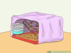 a small cage with a cat in it