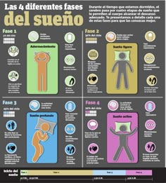 Fases de sueño Sleep Phases, Colleges For Psychology, Psychology Studies, Curious Facts, Blog Themes Wordpress, Neurology, Glow Up Tips, Neuroscience, Medical Care