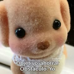 a close up of a stuffed animal on a table with the caption objetvo a horrar obsteauo yo