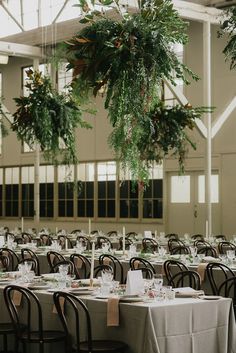 the tables are set with place settings and greenery hanging from the ceiling above them