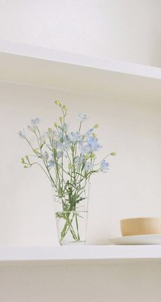 blue flowers in a clear vase on a white shelf next to a plate and bowl