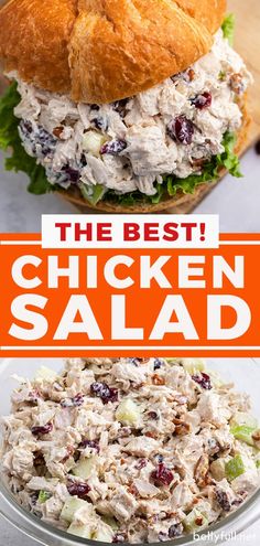 chicken salad with cranberries and lettuce in the middle