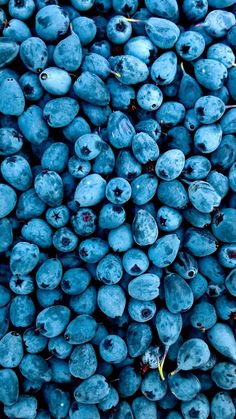 blueberries are piled high in the air