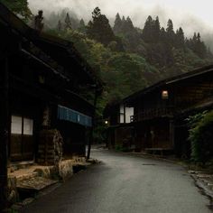 an empty street in the middle of a forest with houses and trees on both sides