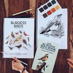 a person holding a pencil next to some books and watercolors on a wooden table