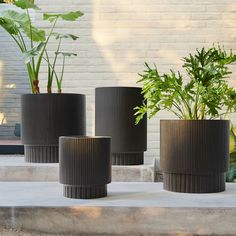 three black vases sitting on top of a cement slab next to plants and potted plants