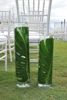 two tall vases filled with green leaves sitting on top of a grass covered field