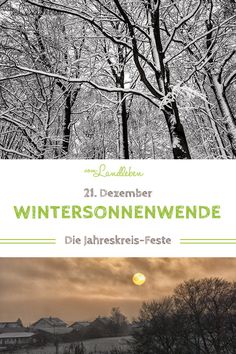 an image of the cover of winter in germany