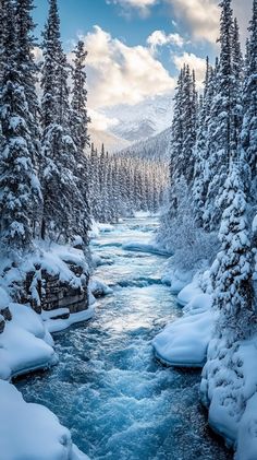 a river surrounded by trees covered in snow