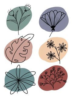 four different colored flowers and leaves on a white background