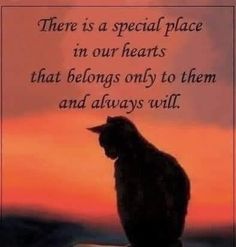 there is a special place in our hearts that belongs only to them and always will