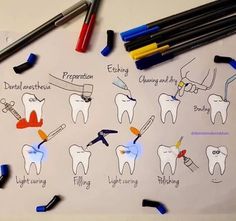 Dental Charting, Future Dentist, Dentist Assistant