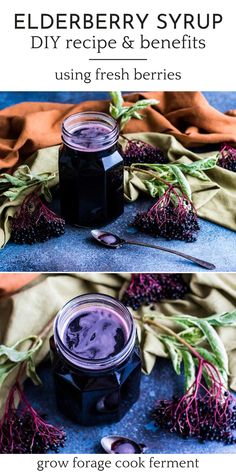 elderberry syrup recipe and benefits using fresh berries