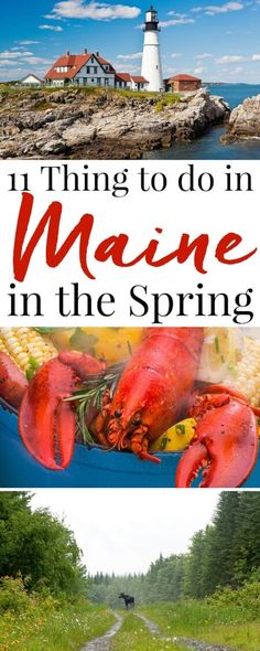 two pictures with the words, things to do in maine in the spring