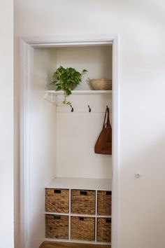 a white closet with baskets and plants on the shelves