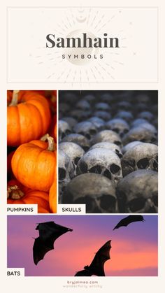 an image of pumpkins and skulls with the caption samhan symbols