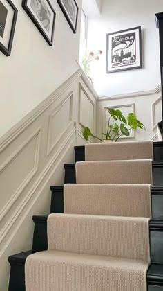 some stairs with pictures on the wall above them and a potted plant next to it