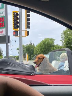 a dog sitting in the passenger seat of a car with its head out the window