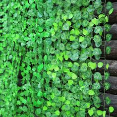 green plants are growing on the side of a building with wooden slats behind them