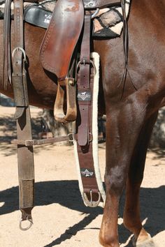 a brown horse standing on top of a dirt field