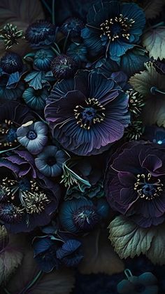 an arrangement of purple and blue flowers with green leaves on a black background, closeup