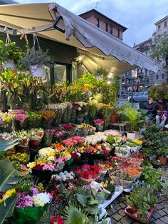 an outdoor flower shop with lots of flowers on display