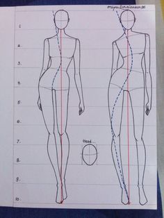 a drawing of a woman's body and the measurements for her figure, from top to bottom