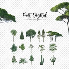 various types of trees and plants are shown in this graphic art work, with the title post digital