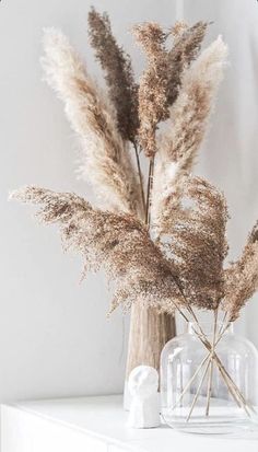 some dried plants in a glass vase on a table