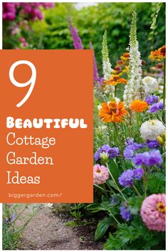 colorful garden flowers with the words 9 beautiful cottage garden ideas on it's side