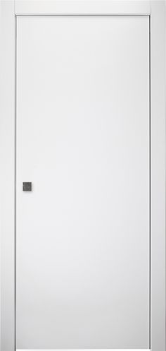 a white door with a black handle on the left side and a small square button on the right side