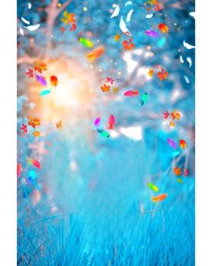 colorful butterflies flying in the sky over blue grass and trees with bright sun behind them