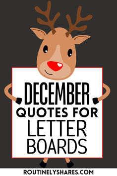 Reindeer holding sign saying December quotes for letter boards Funny December Letter Board, Letter Board Holiday Quotes, Elf Letter Board Quotes, December Message Board Quotes, Christmas Felt Board Quotes Funny, Grinch Letterboard Quotes, December Letter Board Quotes, Christian Christmas Letter Board