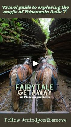 a horse drawn carriage traveling through a narrow canyon with text overlay that reads, travel guide to exploring the magic of wisconsin dells