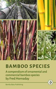 the cover of bamboo species is shown in green and yellow, with pictures of bamboo stalks