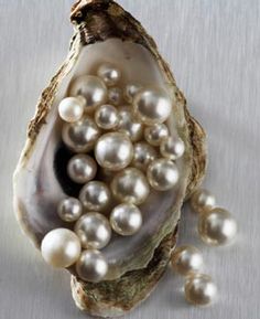 an open oyster shell with pearls in it