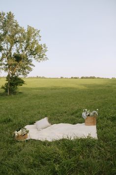 a blanket on the grass with flowers in a basket next to it and a tree