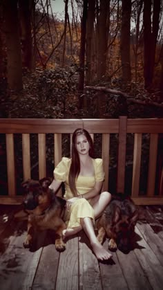 a woman in a yellow dress sitting on a wooden bench with two black and brown dogs