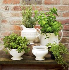 several potted plants are sitting on a wooden table in front of a brick wall