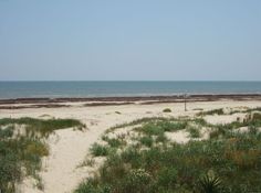 an empty beach with grass and plants in the foreground