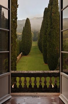 an open door leading to a lush green field with trees on either side and fog in the distance