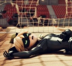 a catwoman doll laying on the ground next to a soccer net