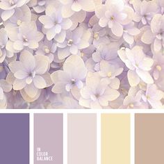 a bunch of flowers that are next to each other in shades of purple and yellow