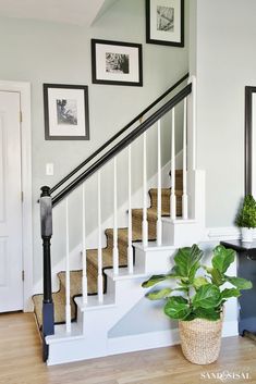 there is a potted plant on the floor in front of the stair railings