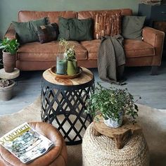 a living room filled with lots of furniture and plants on top of it's tables