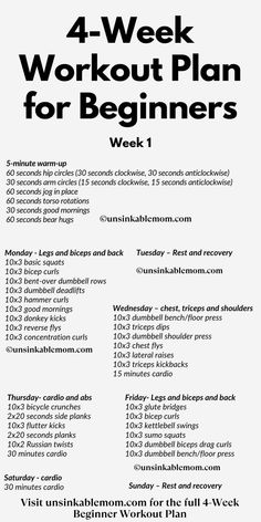 Beginner Workout Plan