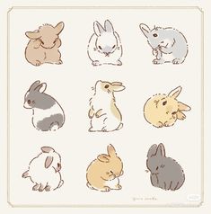 an image of rabbits in different colors